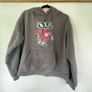 Vintage Gray Hoodie University of Wisconsin Embroidered Bucky Badger Large